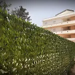 Perla Speciale Vacanze 2026, Casa Perfetta Per Gruppi Coppie E Famiglie Vivi La Sicilia A Modo Tuo *